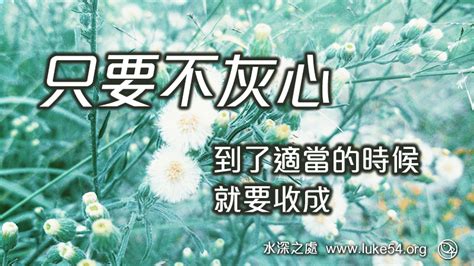 栽種|栽種 的意思、解釋、用法、例句